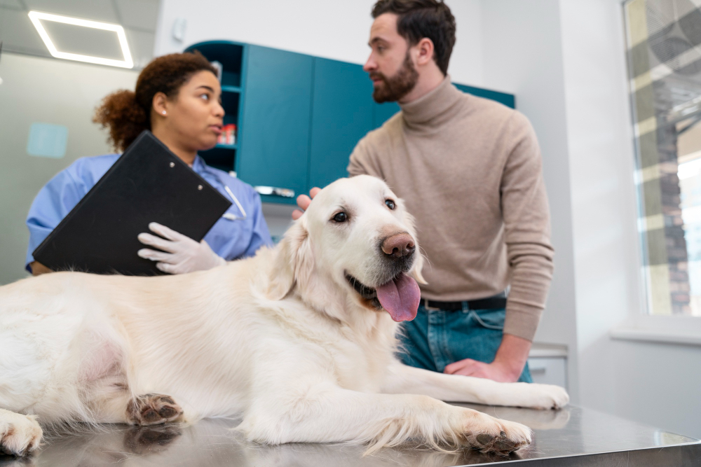 Pack de Cuidados Completos Veterinarios